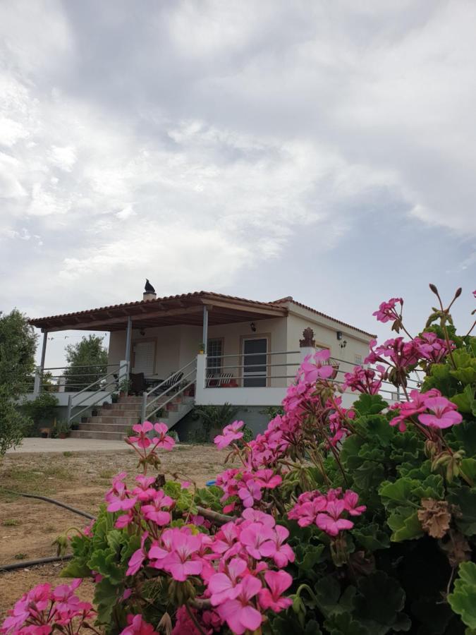 A Wonderful Relaxing Place. Nice View. Romantic Sunset Douneika  Esterno foto